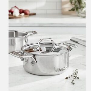All-Clad Stainless Steel 1/2 Qt Cocotte